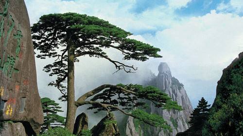 景观栏杆,桥梁装饰,铸造石,晶铸石,精铸石,铝合金栏杆,铝合金防撞护栏,UHPC装饰挂板,UHPC清水板,GRC